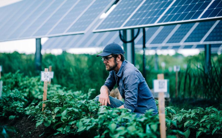 How Solar Power Saves Family Farms